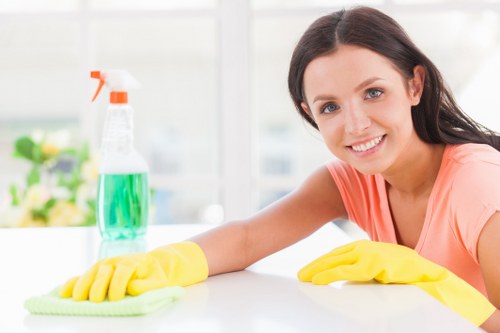 Professional cleaners at work in Merrylands home