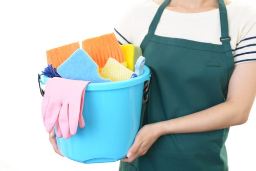 Professional cleaning team at work in Ivanhoe