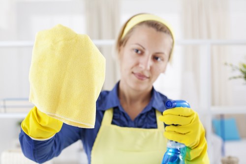 Professional cleaners working in a Karrinyup home