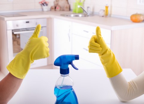 Eco-friendly cleaning products used in South Perth