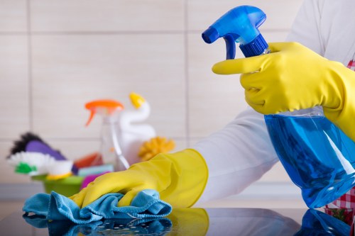 Eco-friendly cleaning products used by Salisbury cleaning professionals