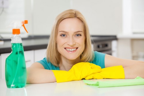 Professional cleaners tidying a home in Greenwood