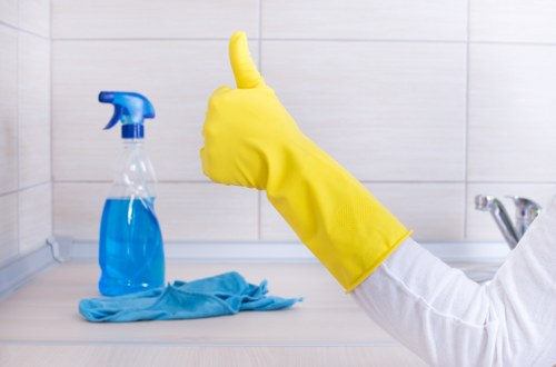 Eco-friendly cleaning products for green cleaning