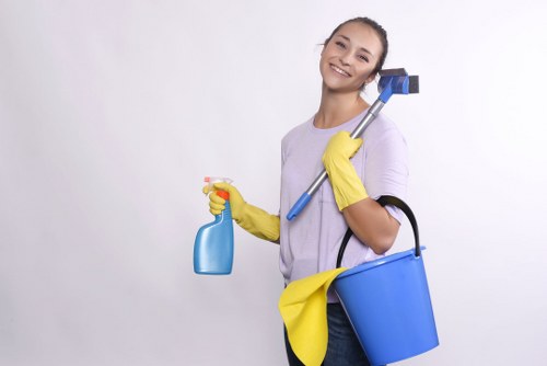 Eco-friendly cleaning products and tools