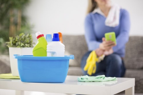 Experienced cleaners ensuring spotless spaces