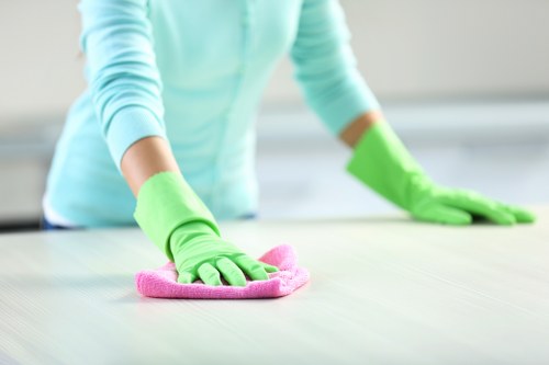 Office cleaning professionals in a Willoughby workplace