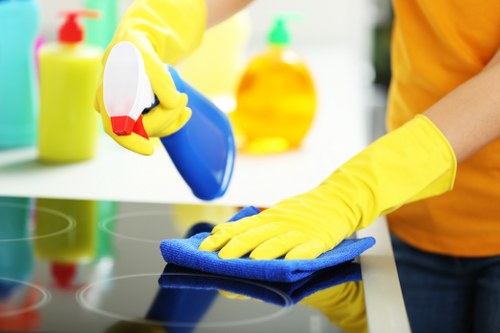 Indooroopilly cleaning team performing household tasks