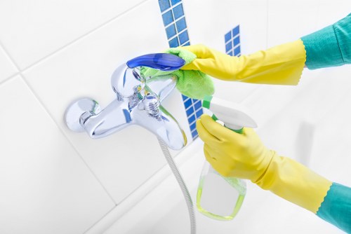 Eco-friendly cleaning practices implemented by Lucas Cleaners