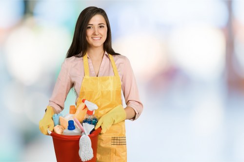 Residential and commercial cleaning services