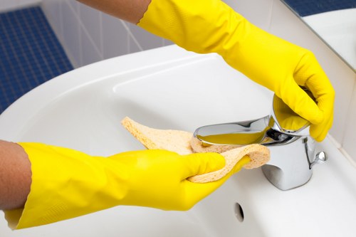 Residential cleaning services in Elwood