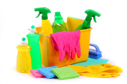 Professional cleaners servicing a residential property